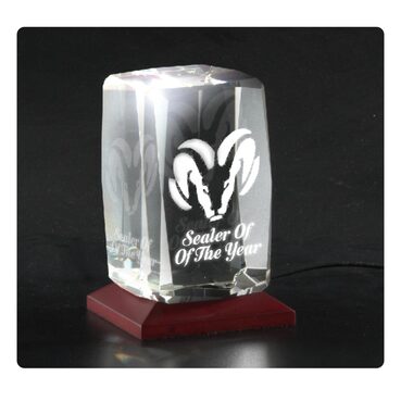 Exquisite Personalized 3D Crystals Awards